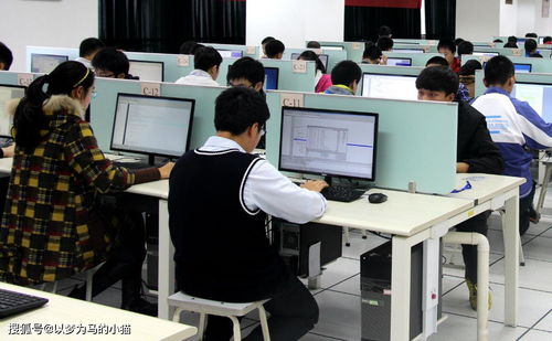 計算機技術開發 理科男生的黃金賽道，就業率高前景廣闊